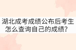 湖北成考成績(jī)公布后考生怎么查詢自己的成績(jī)？