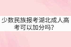 少數(shù)民族報考湖北成人高考可以加分嗎？