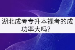 湖北成考專升本裸考的成功率大嗎？