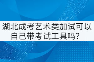 湖北成考藝術(shù)類加試可以自己帶考試工具嗎？