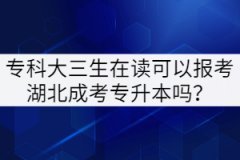?？拼笕谧x可以報考湖北成考專升本嗎？