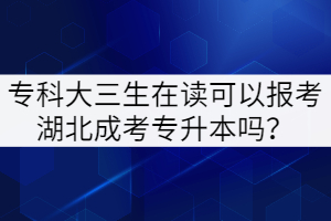 ?？拼笕谧x可以報考湖北成考專升本嗎？