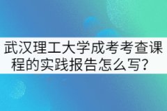 武漢理工大學(xué)成考考查課程的實(shí)踐報(bào)告怎么寫？