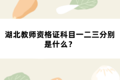 湖北教師資格證科目一二三分別是什么？