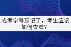 成考學(xué)號忘記了，考生應(yīng)該如何查看？