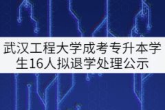 武漢工程大學(xué)成考專升本前置專科學(xué)歷資格清查學(xué)生16人擬退學(xué)處理公示