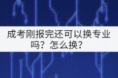 成考剛報完還可以換專業(yè)嗎？怎么換？