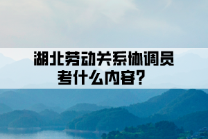 湖北勞動關(guān)系協(xié)調(diào)員考什么內(nèi)容？