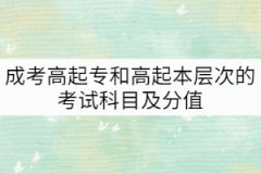 成考高起專和高起本層次的考試科目以及分值是怎樣的？