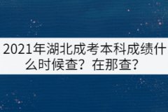 2021年湖北成考本科成績什么時候查？在那查？