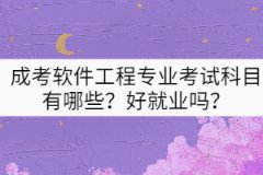 成考軟件工程專業(yè)考試科目有哪些？好就業(yè)嗎？