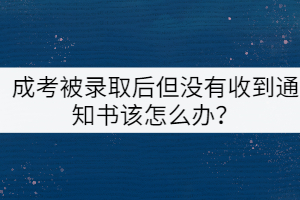成考被錄取后但沒有收到通知書該怎么辦？