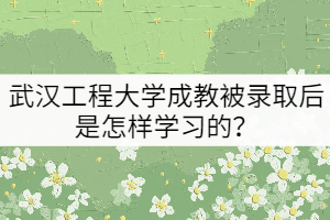 武漢工程大學成教被錄取后是怎樣學習的？