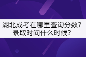 湖北成考在哪里查詢分數(shù)？錄取時間什么時候？