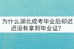 為什么湖北成考畢業(yè)后卻遲遲沒(méi)有拿到畢業(yè)證？