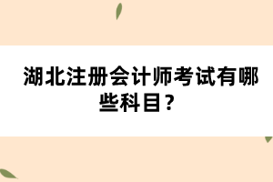 湖北注冊會計師考試有哪些科目？