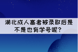 湖北成人高考被錄取后是不是也有學號呢？