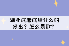 湖北成考成績什么時候查？怎么錄??？