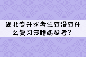 2022年湖北專升本考生有沒有什么復習策略能參考？