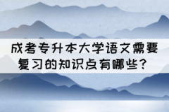 成考專升本大學(xué)語文需要復(fù)習(xí)的知識點有哪些？