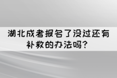 湖北成考報(bào)名了沒過還有補(bǔ)救的辦法嗎？