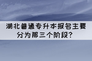 2022年湖北普通專升本報名主要分為那三個階段？