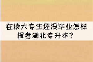 在讀大專生還沒畢業(yè)怎樣報考湖北專升本？