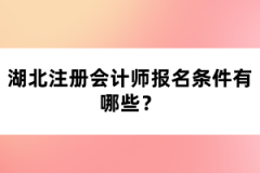 湖北注冊會計師報名條件有哪些？