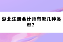 湖北注冊會計師有哪幾種類型？