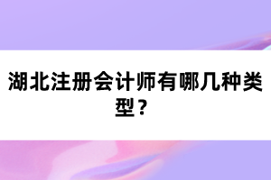 湖北注冊(cè)會(huì)計(jì)師有哪幾種類型？