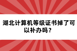 湖北計(jì)算機(jī)等級(jí)證書(shū)掉了可以補(bǔ)辦嗎？