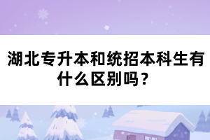 湖北專升本和統(tǒng)招本科生有什么區(qū)別嗎？