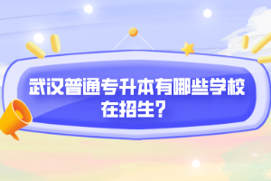武漢普通專升本有哪些學(xué)校在招生？