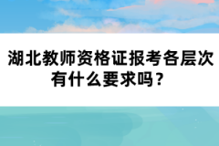 湖北教師資格證報考各層次有什么要求嗎？