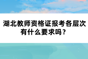 湖北教師資格證報(bào)考各層次有什么要求嗎？