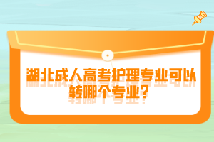 湖北成人高考護理專業(yè)可以轉(zhuǎn)哪個專業(yè)？