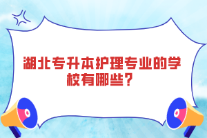 湖北專升本護理專業(yè)的學(xué)校有哪些？