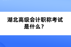 湖北高級(jí)會(huì)計(jì)職稱(chēng)考試是什么？