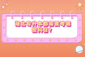 湖北專升本都需要考哪些科目？