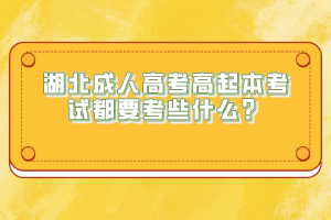 湖北成人高考高起本考試都要考些什么？