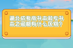 湖北成考高升本和專升本之間都有什么區(qū)別？