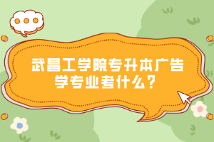 武昌工學院專升本廣告學專業(yè)考什么？