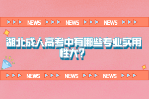 湖北成人高考中有哪些專業(yè)實用性大？