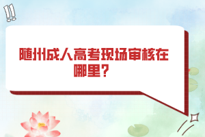 隨州成人高考現(xiàn)場審核在哪里？