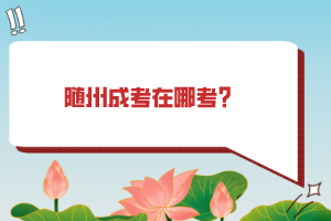 隨州成考在哪考？