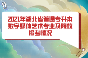 2021年湖北省普通專升本數(shù)字媒體藝術(shù)專業(yè)及院校報(bào)考情況