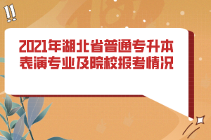 2021年湖北省普通專升本表演專業(yè)及院校報(bào)考情況