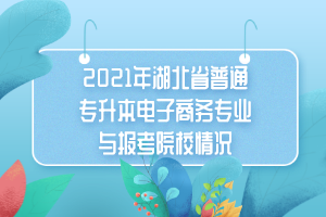 2021年湖北省普通專升本電子商務(wù)專業(yè)與報(bào)考院校情況