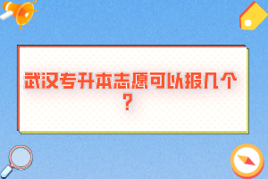 武漢專升本志愿可以報幾個？