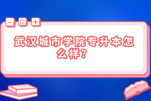 武漢城市學院專升本怎么樣？